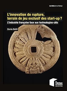 L'innovation de rupture, terrain de jeu exclusif des start-up ?: L'industrie française face aux technologies-clés