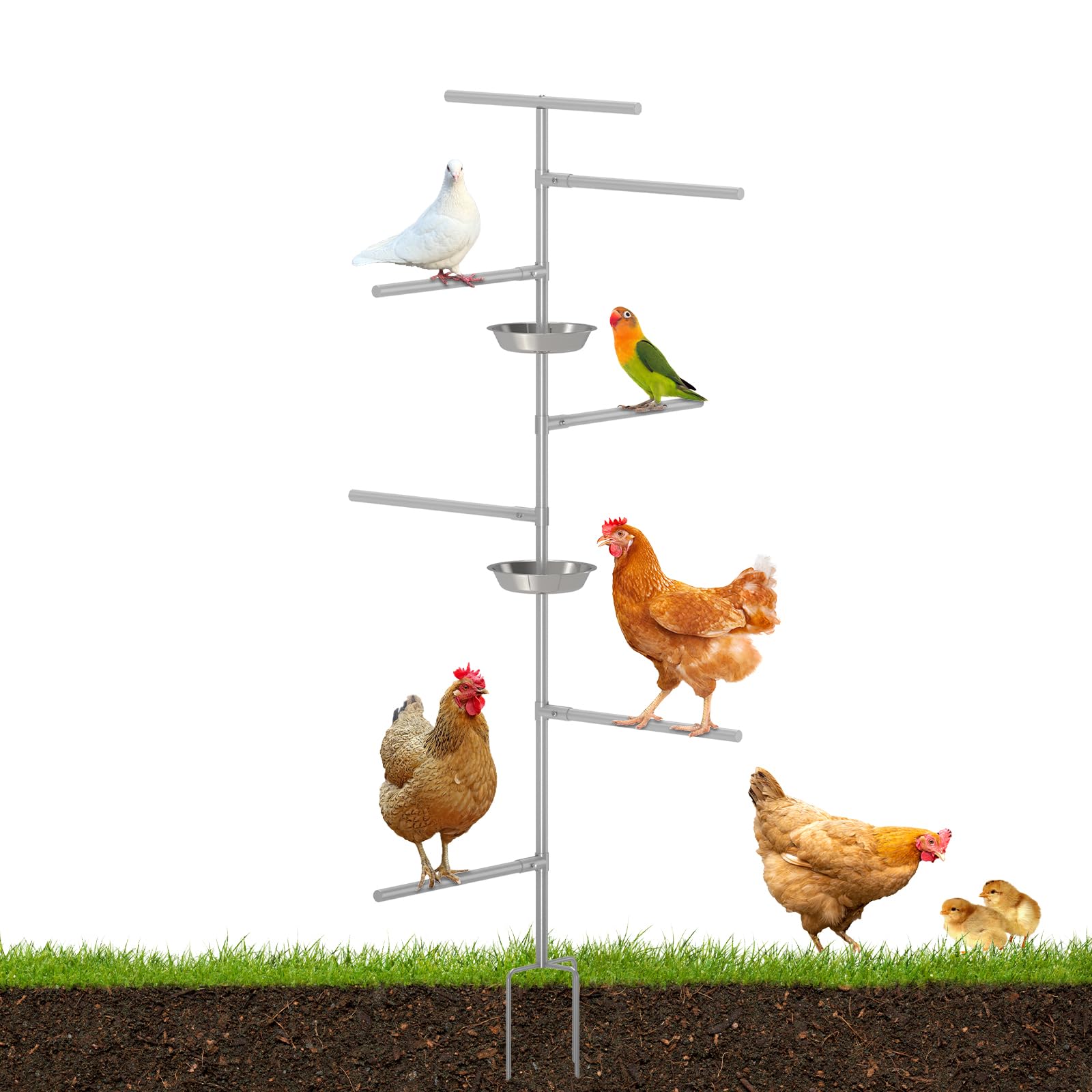 Perchas para Pollos, Juguetes para gallinas,escaleras de gallinas, Juguete de Patio con función de enriquecimiento Ambiental gallinero, Granja para Pollos, Loros y Palomas