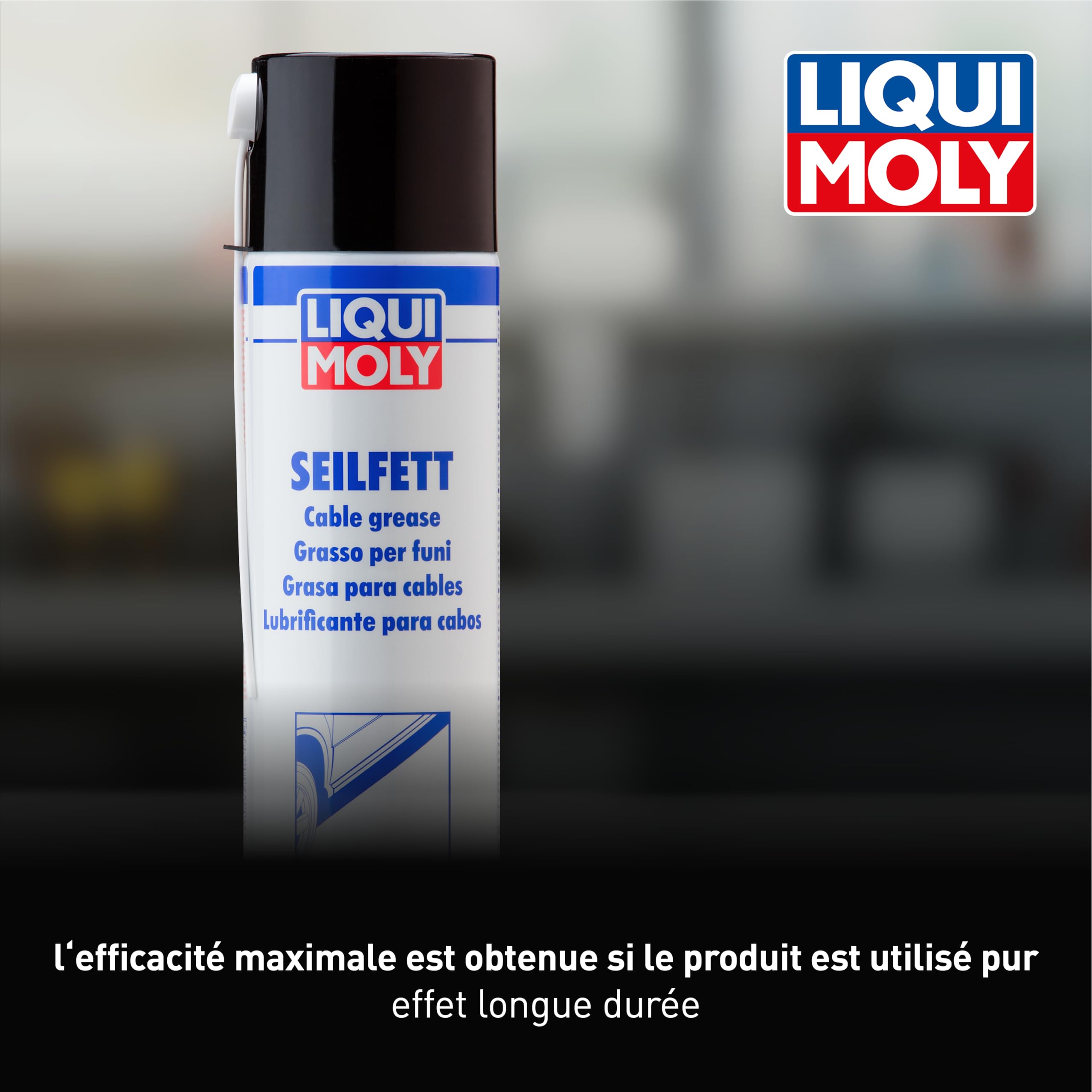 LIQUI MOLY Graisse pour câbles, 500 ml, Fat de lubrification, Protection corporelle, Protection contre le sous-corps, SKU: 6135