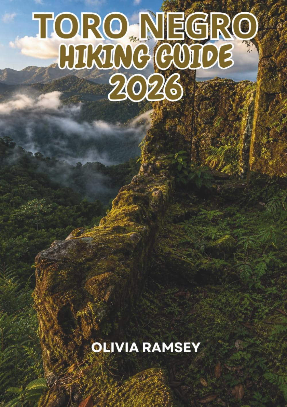 TORO NEGRO HIKING GUIDE 2026: Mountain Trails, Waterfalls & Cloud Forest Routes in Puerto Rico’s Cordillera Central
