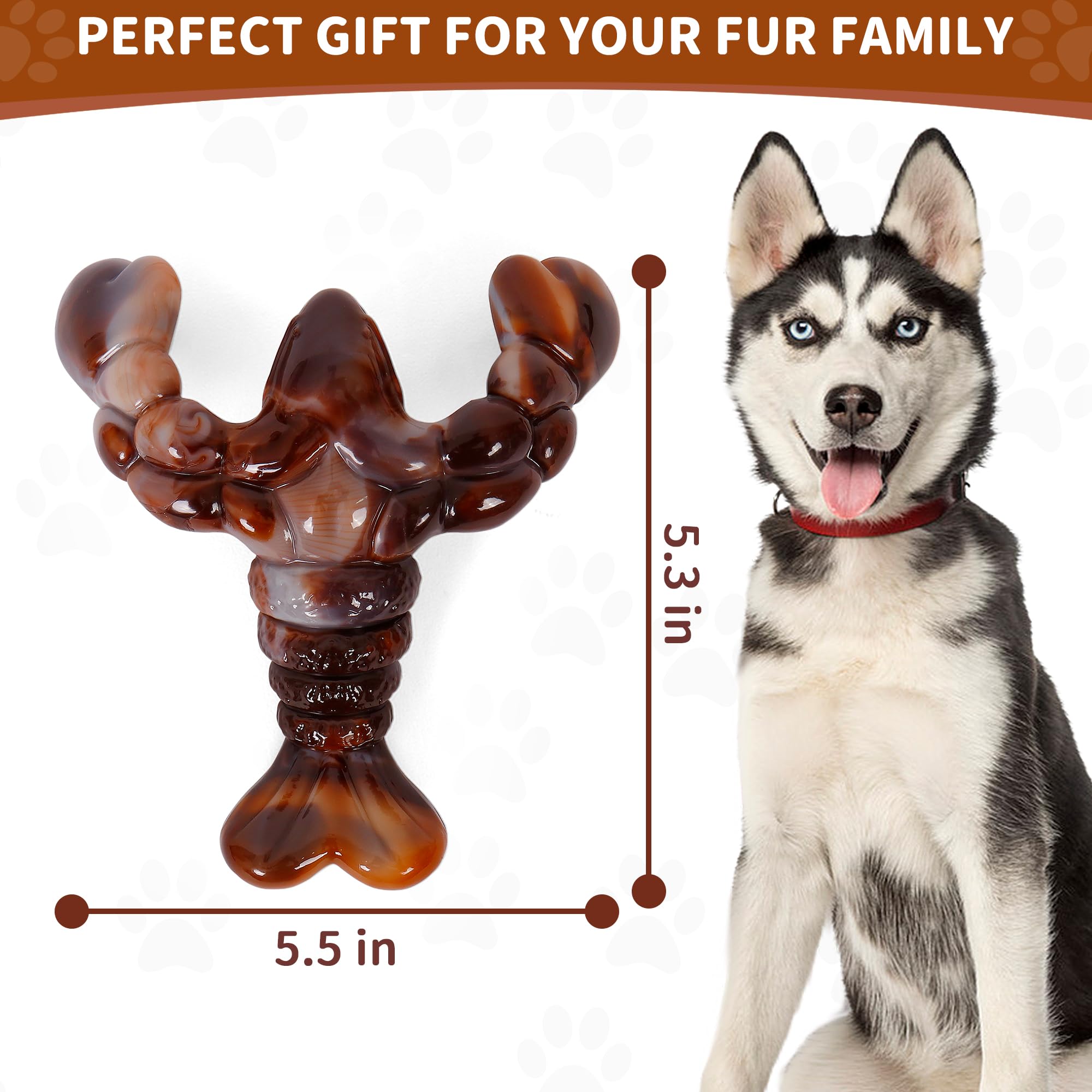Forfunyou Indestructible Dog Toys for Aggressive Chewers - Large & Medium-Large Breeds, 1-Pack Bacon Flavored Tough Dog Bones Gift (Lobster)