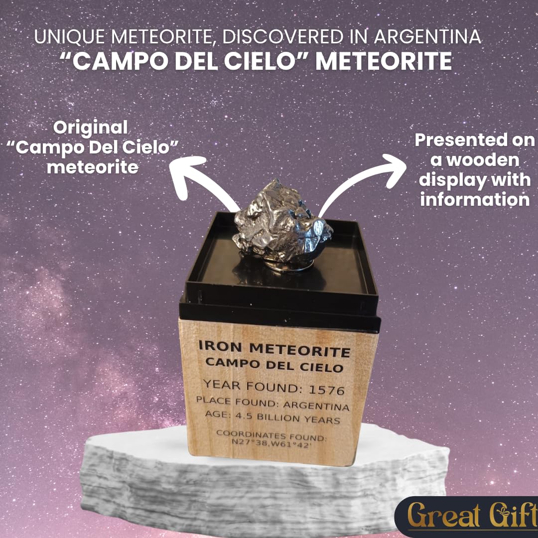 Meteorito Campo del Cielo – Meteorito de Hierro en Pantalla de Madera – Encontrado en 1576 – 4,5 mil millones de años – Regalo para coleccionistas & Aficionados al espacio