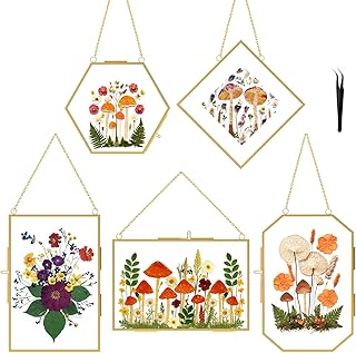 BABUFINE Pressed Flower Frames with Tweezers, Wall Hanging Double Glass Picture Frames with Chain