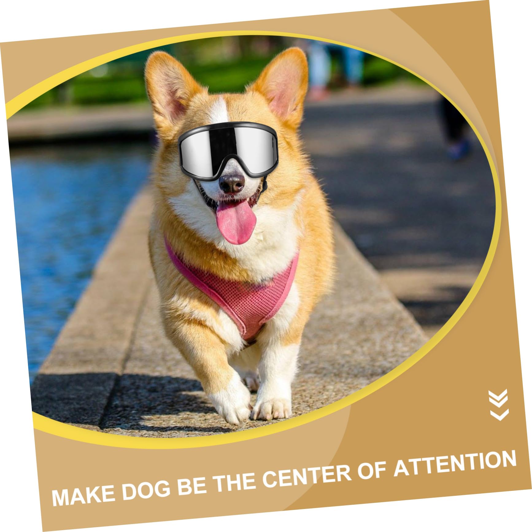 BESPORTBLE 5pezzi Occhiali Protettivi Per Cani Design Alla Moda e Creativo Protezione Dagli Agenti Atmosferici Per Attività All Aperto Accessori Per Animali Domestici