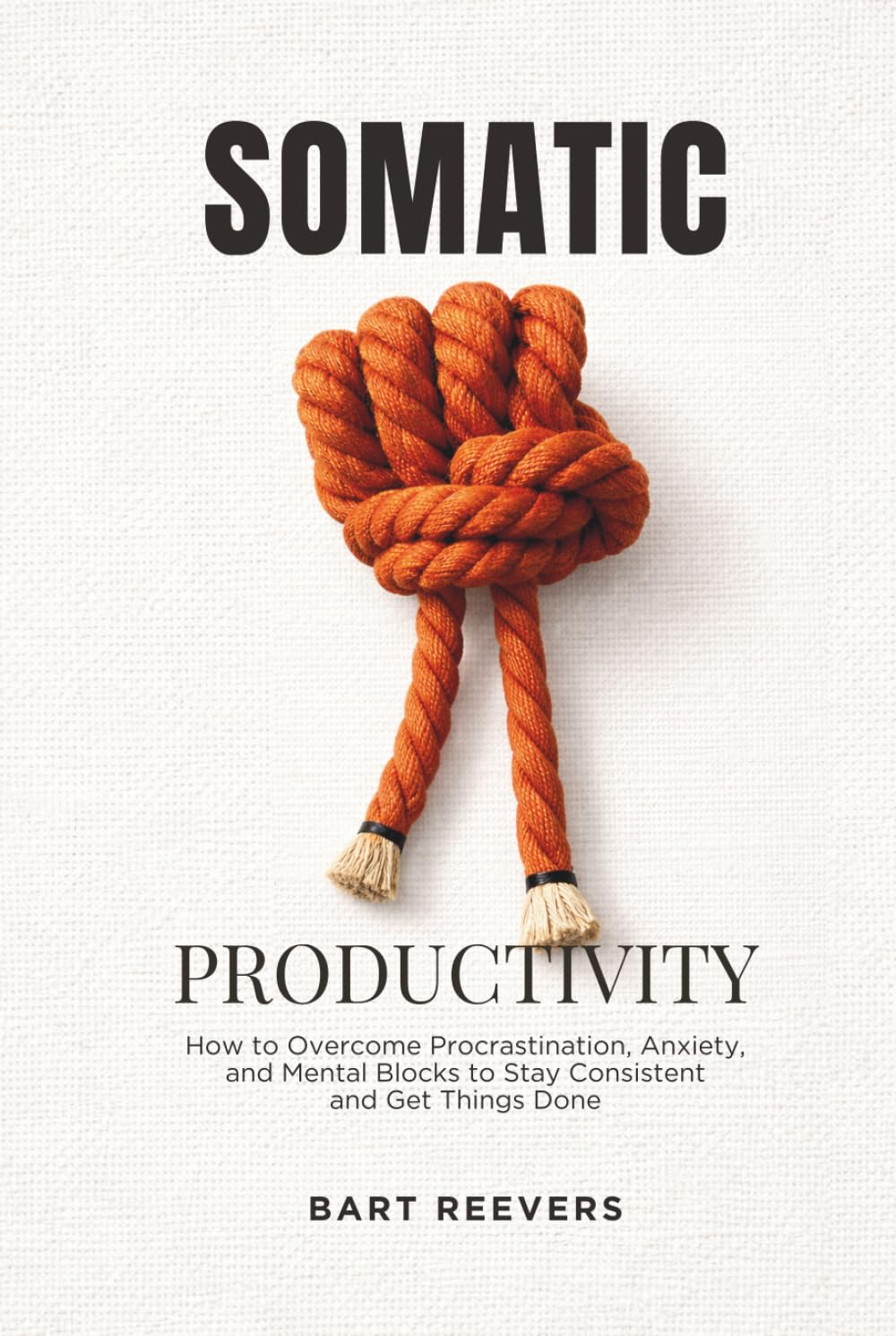 Somatic Productivity: How to Overcome Procrastination, Anxiety, and Mental Blocks to Stay Consistent and Get Things Done