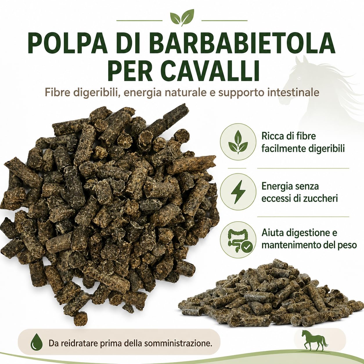 Polpa Barbabietola per cavalli | Polpa di Barbabietola per Ovini e Suini | Ottima per regolarizzare la motilità Intestinale - sacco da 25 kg