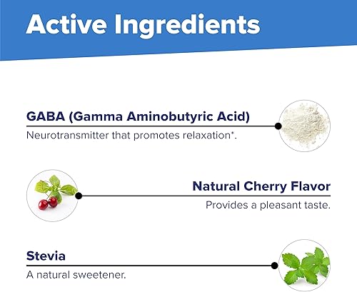 Miniatura 7 de Superior Source GABA 100 mg tabletas sublinguales de disolución rápida bajo la lengua 100 unidades apoyo para la salud cerebral promueve un efecto