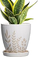 Vista 12 de Maceta de cerámica de 6 pulgadas con platillo - Maceta pequeña para flores con drenaje para suculentas y hierbas, decoración de escritorio boho