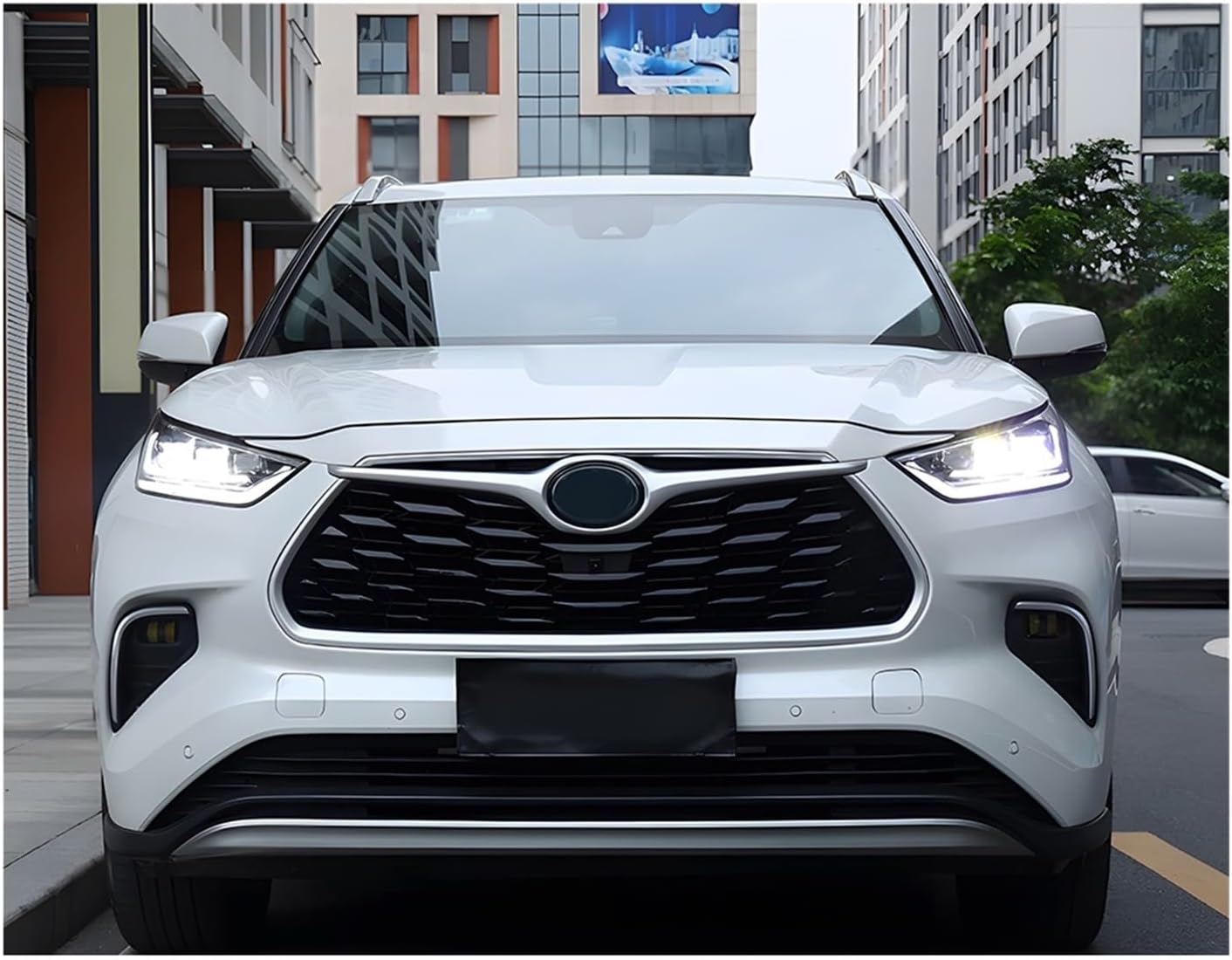 掛け軸 堀田香石 作『 月夜の狸 』 絹本 希少 軸装 茶道具 掛軸 美品 です