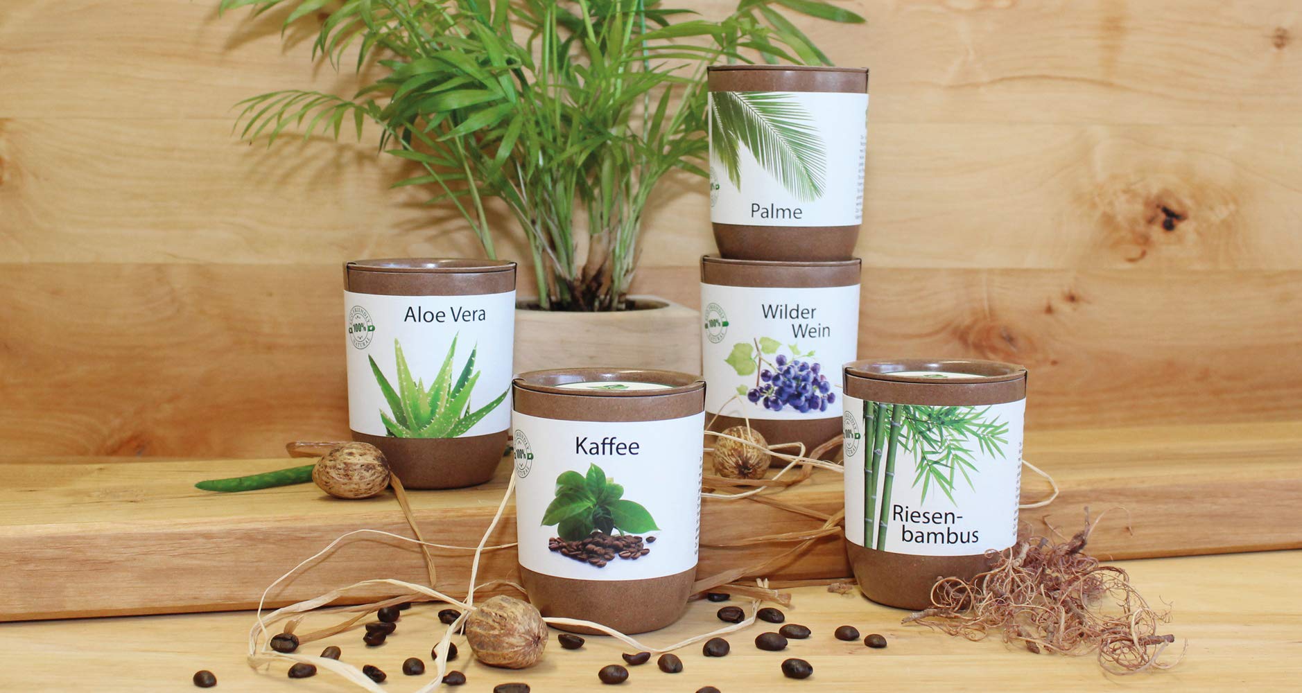Feel Green Ecocan, Aloe Vera Exotics, Idée Cadeau (100% Biodégradable), Grow-Your-Own/Kit Prêt-à-Pousser, Le Pot Écologique Qui Croît 9 x 7 cm, Produit en Autriche