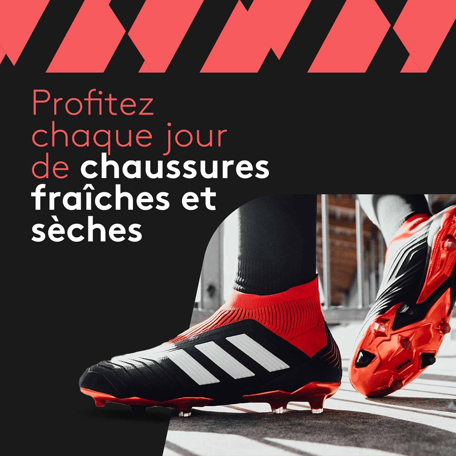 SHOEDRY Ozone - Sèche-Chaussures & Rafraîchisseur - Technologie à l'Ozone - Élimine Les bactéries et Les Champignons - Pas d'odeurs désagréables