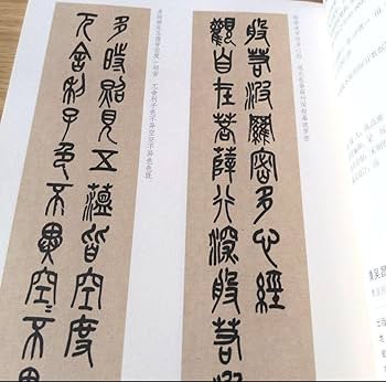 習字(臨書)教本＋DVDセット(1年分)お値下げしました 日本習字 臨書部模範揮毫DVD 平成27年4月号〜平成28年3月号