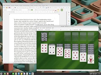 USB-Stick mit Linux Mint 22.3 'Zena' Cinnamon 64 Bit - Betriebssystem Alternative