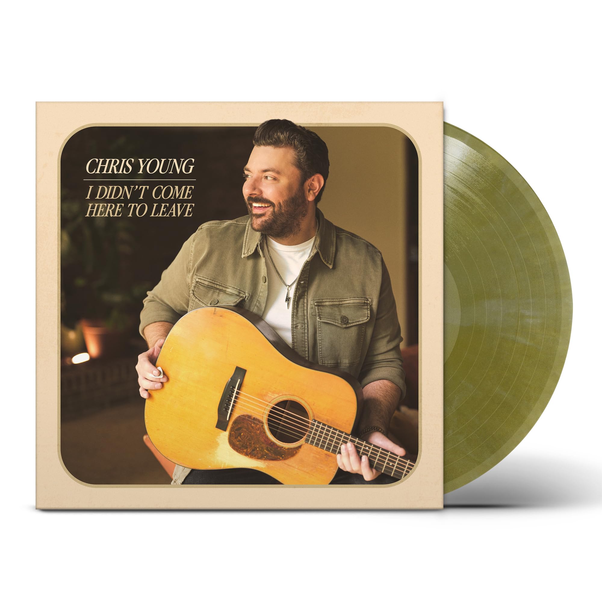 I Didn't Come Here To Leave [VINYL]
