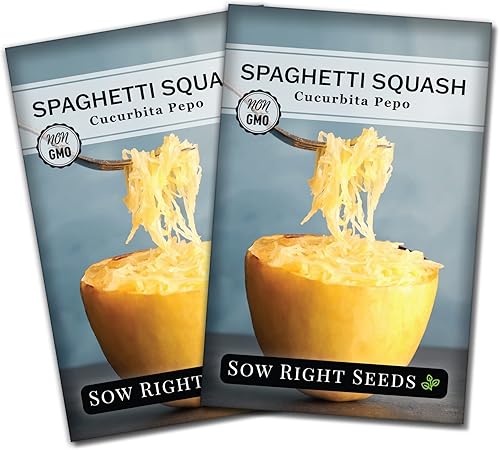 Miniatura 7 de Sow Right Seeds - Semillas de calabaza espagueti para plantar - Paquete de reliquia sin OMG con instrucciones para plantar y cultivar un huerto en