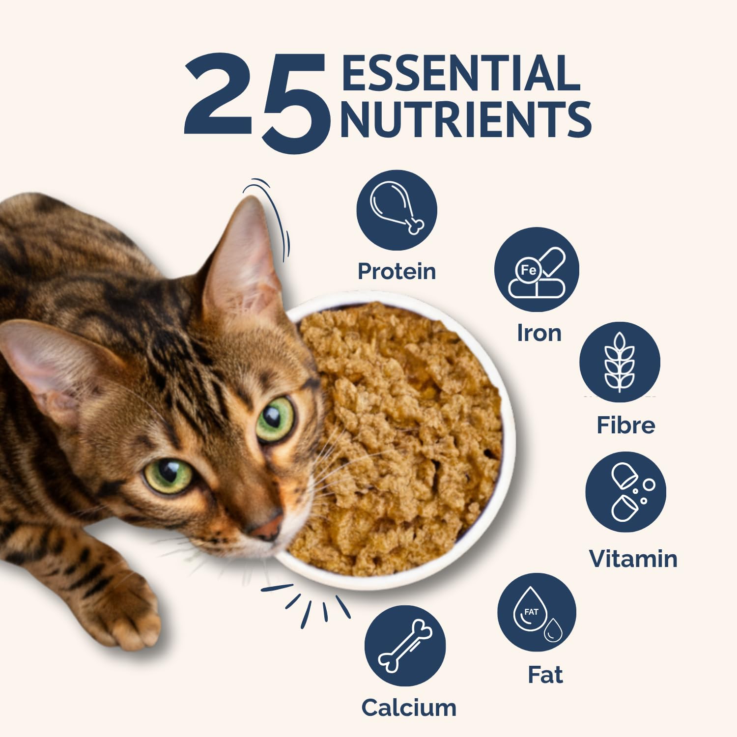 Goofy Tails Mackerel and Chicken Wet Cat Food and Kitten Food, 630g (70g X 9 Pouches), Preservative Free, Gluten & Grain Free, Balanced Cat Wet Food, Powered by Taurine with Omega 3 & Antioxidants 3