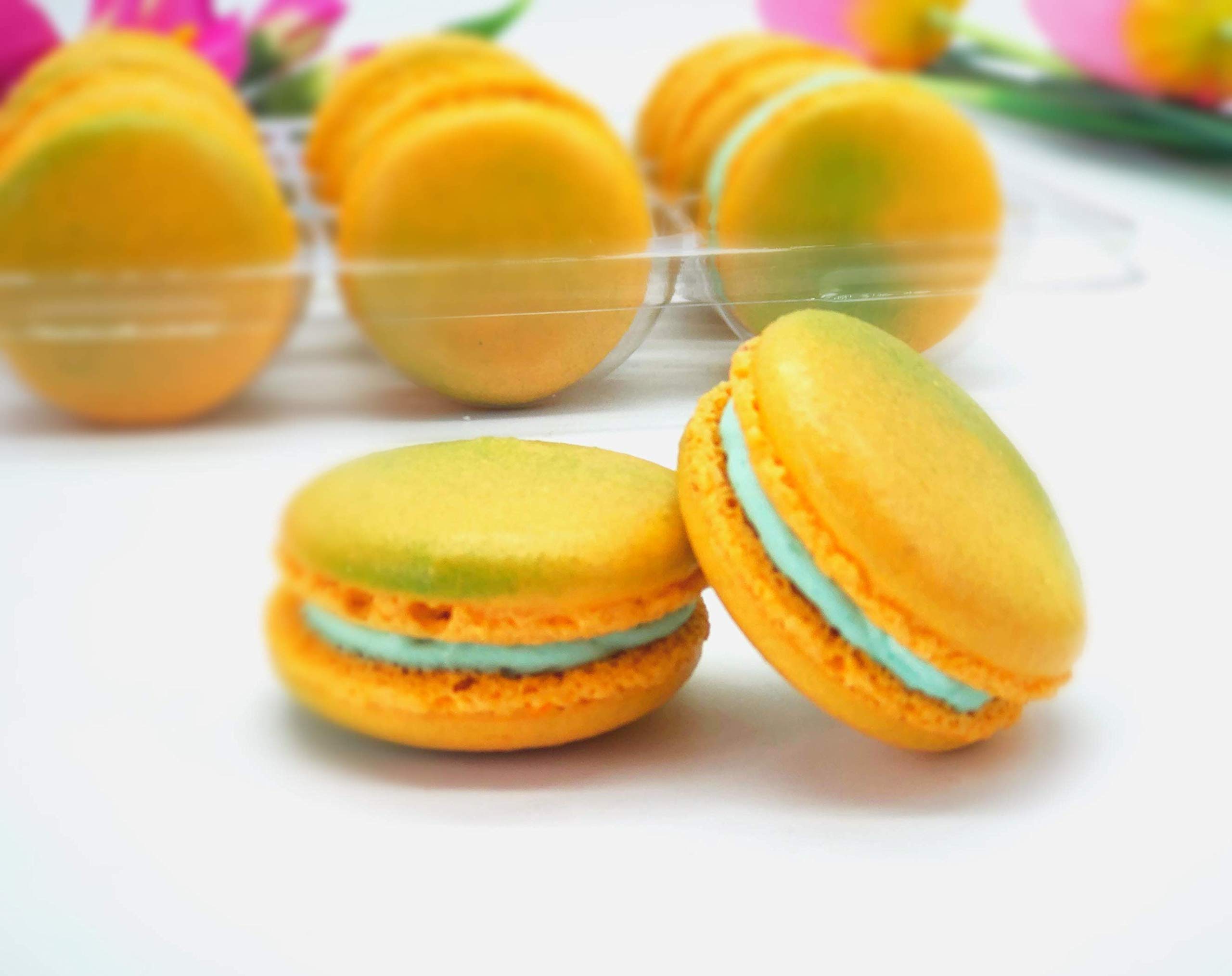 Amazon.com: Set de macarrones tropicales | Macarons sin gluten