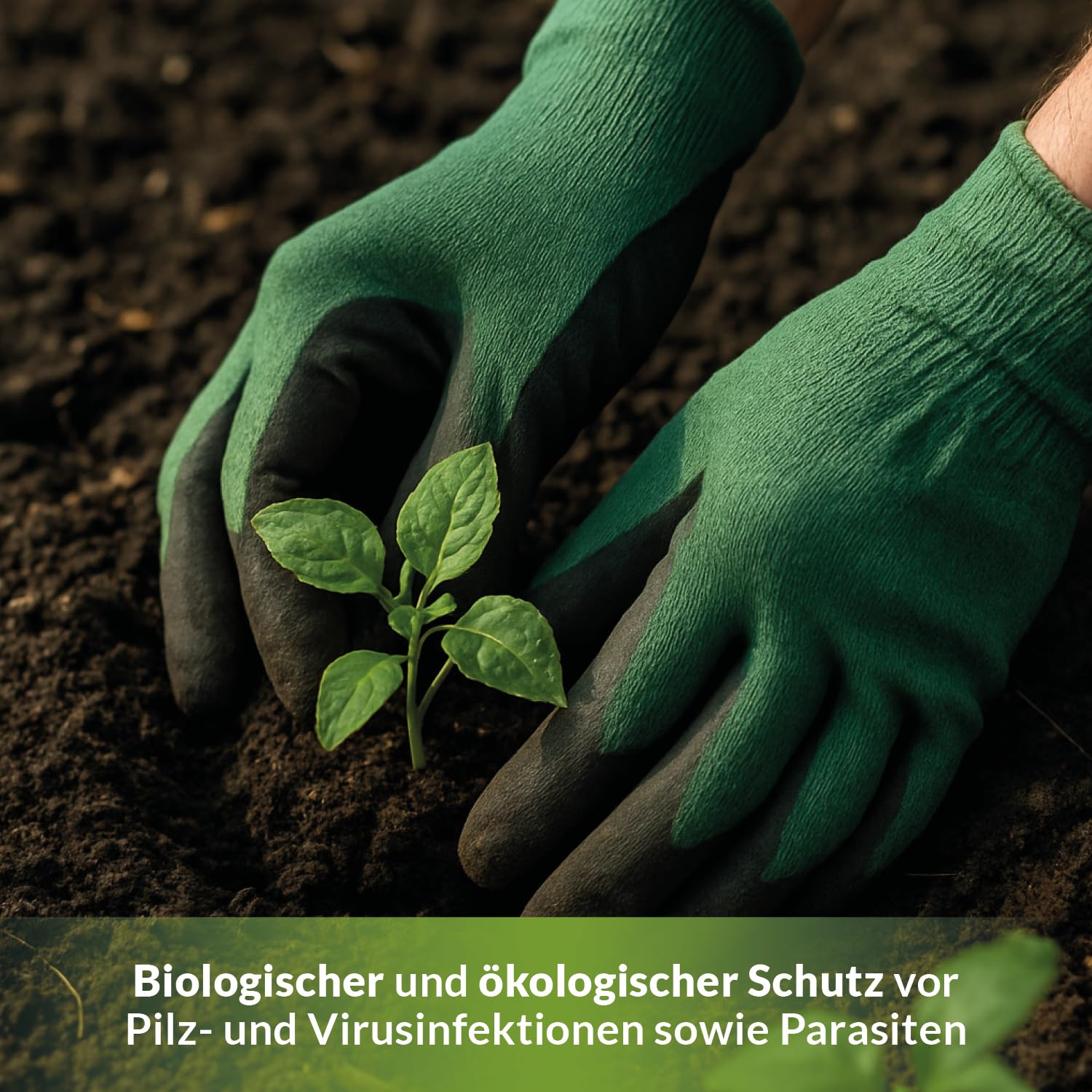 TerraDomi 10kg natürlicher Algenkalk für 250m² I 100% echter Algenkalk zur Stärkung der Widerstandsfähigkeit von Buchsbäumen und anderen Pflanzen I Beugt Befall von Buchsbäumzünsler und Pilzen vor
