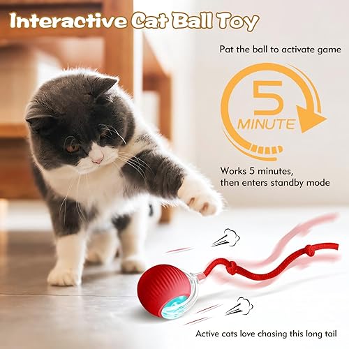 Miniatura 2 de Pelota interactiva para gatos de interior, Peppy Pet Ball, juguete automático mejorado para gatos adultos aburridos en interiores y adultos, juguete