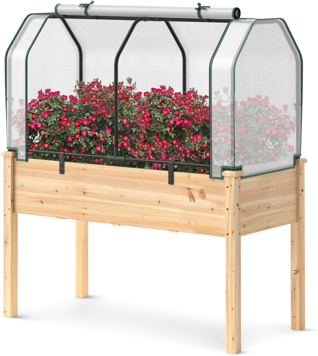 Raised Garden Bed with Greenhouse Cover, Elevated Wooden Planter Box Outdoor Gardening Planting Bed for Vegetables Flowers & Herbs Grow Backyard Patio Lawn (White+Natural)