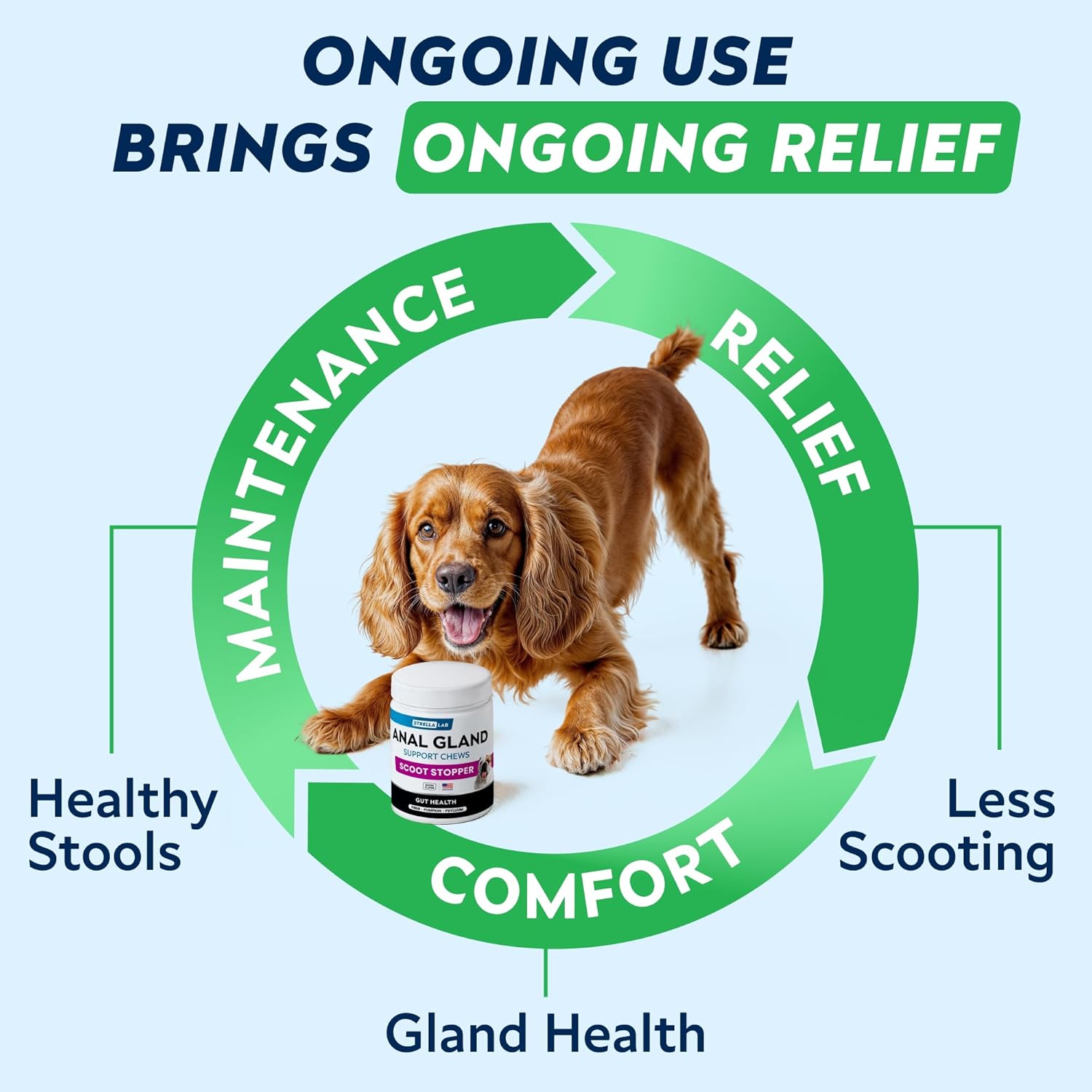 STRELLALAB Anal Gland Support Chews - Scoot Treatment - Digestive Enzymes, Prebiotics & Fiber Supplement for Dogs Digestion & Gut Health. Proprietary Blend of Beet, Psyllium, Dandelion & Pumpkin 120Ct