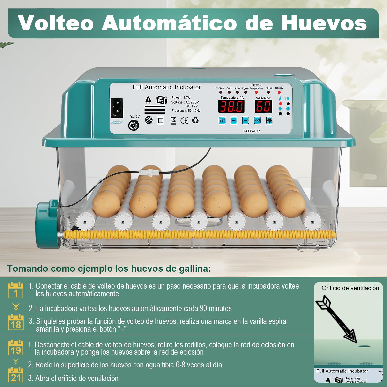CoInceptus Incubadora Huevos Gallina, Incubadora de 24-36 Huevos con Volteo Automático de Huevos y Adición Automática de Agua, Incubadora con 4 Modos de Incubación Automáticos