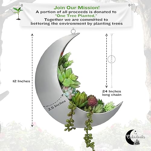 Miniatura 2 de Maceta colgante de luna para decoración de habitación de luna, ideal para suculentas, plantas de aire, mini cactus, plantas artificiales, macetas