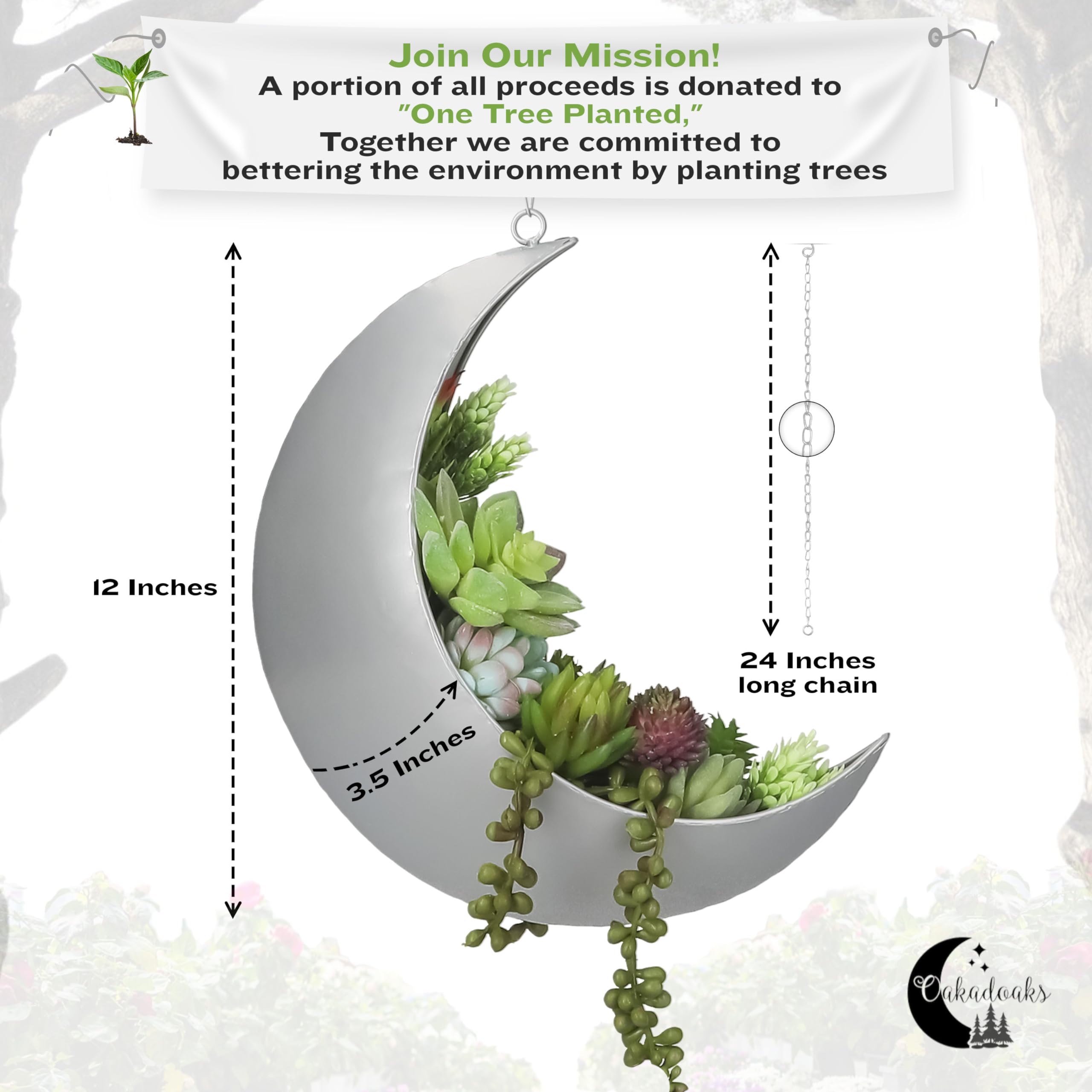 Amazon.com: Hanging Moon Planter for Moon Room Decor - Great for