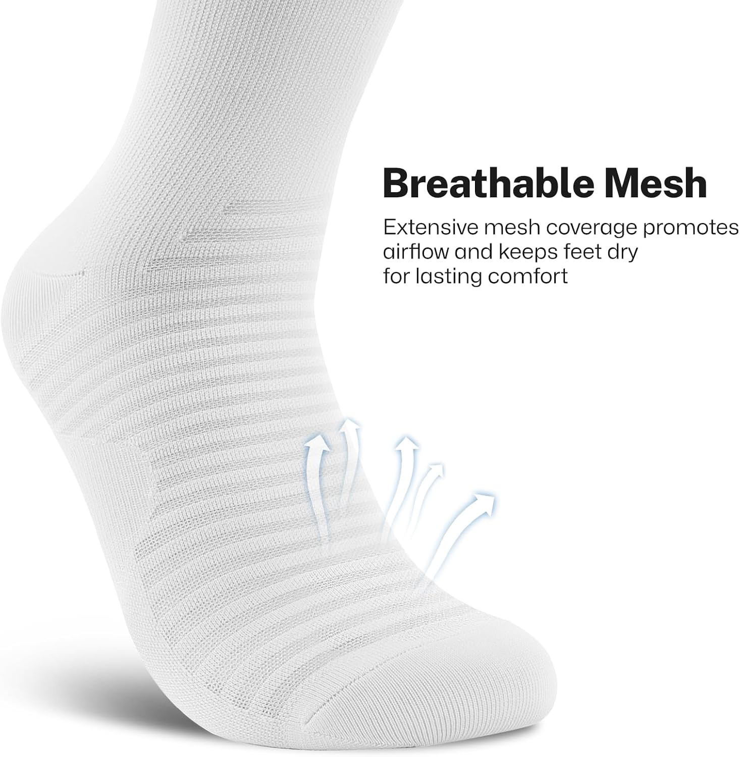 PAPLUS Athletic Crew Compression Socks (6 Pairs) for Men & Women, Running Socks With Arch Support
