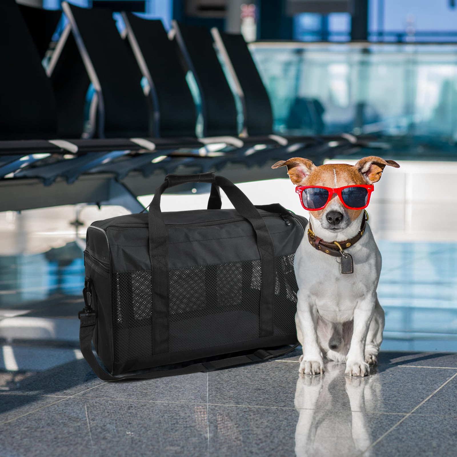 Amexo Sac de Transport pour Chat Chien, Caisse Transport Chat Chien Respirant et Pliable avec Coussin en Peluche Amovible Cage Transport pour Chats et Chiens Jusqu'à 10 kg, 44 x 27 x 28 cm (Noir)