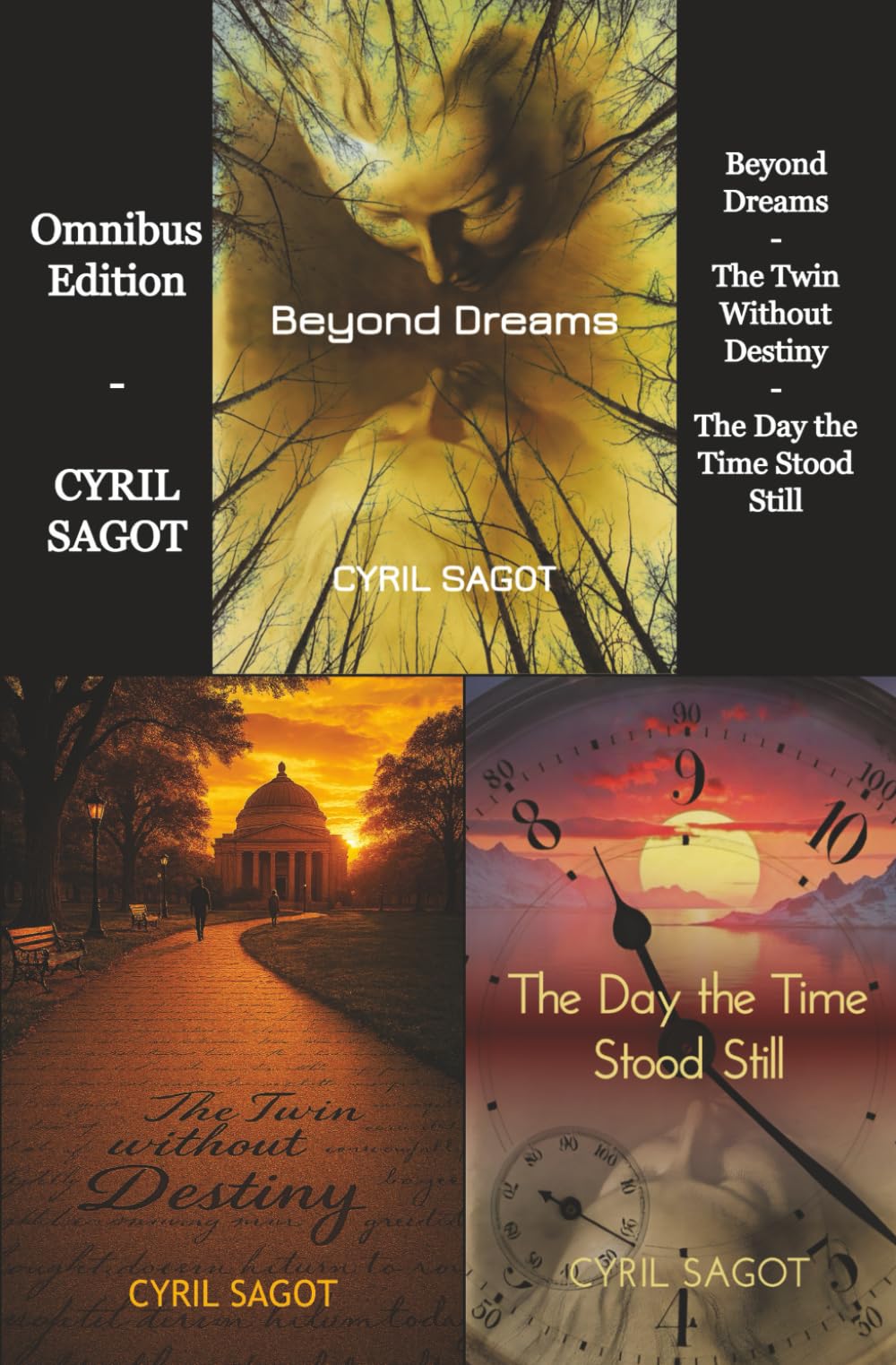 Collected Novels: Omnibus collection