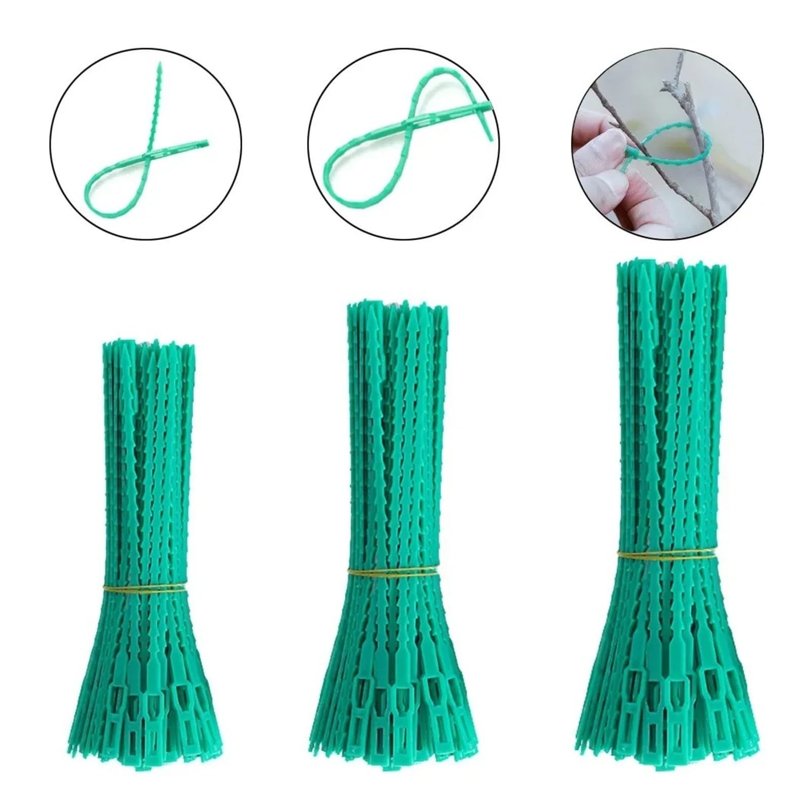 Plant Vine Tree Shrubs Support Fastener Locking