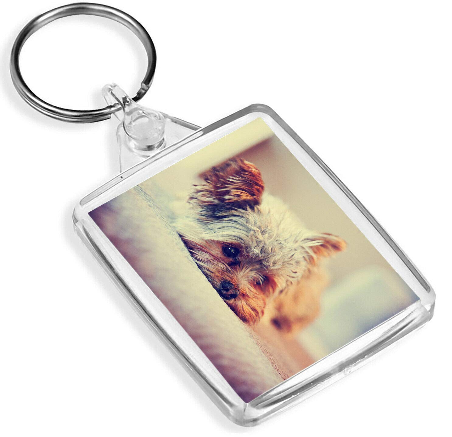 Yorkshire Terrier Keyring - IP02 - Cute Yorkie Dog Puppy Pet Lovers #15621