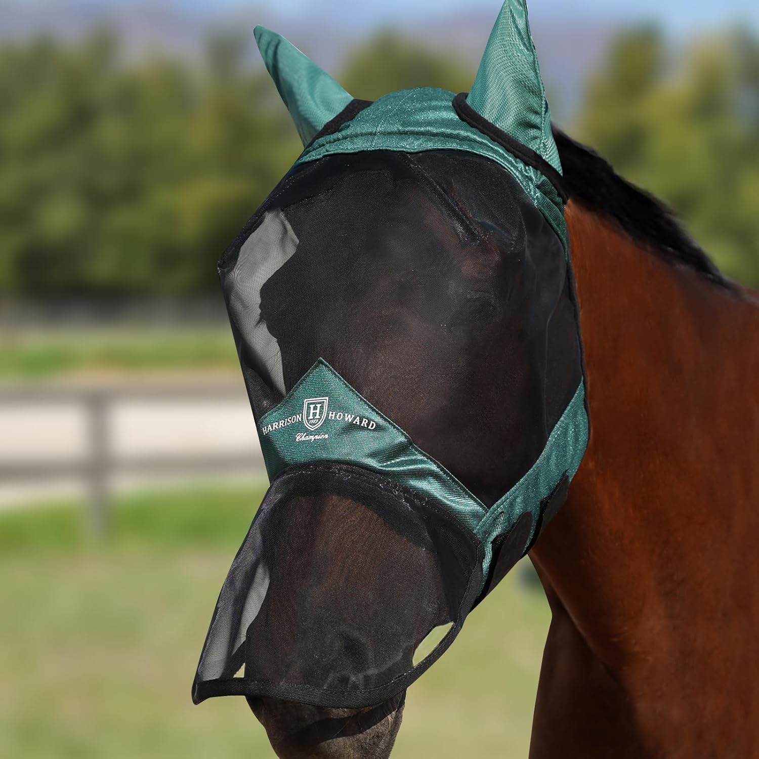 Harrison Howard Pro Luminous Horse Full Face Fly Mask Large Eye Space Long Nose with Ears UV Protection for Horse Hunter Green M
