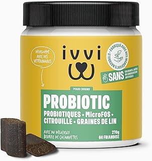 ivvi - Probiotic - Complément Alimentaire pour Chien, Bien -Etre Digestif - Probiotiques, Citrouille, Avoine, Graines de Lin et de Courge - 60 Délicieuses Friandises Végétariennes, 270g