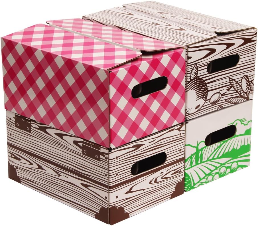 VKP Brands Storage Jar, Pint, Multicolor