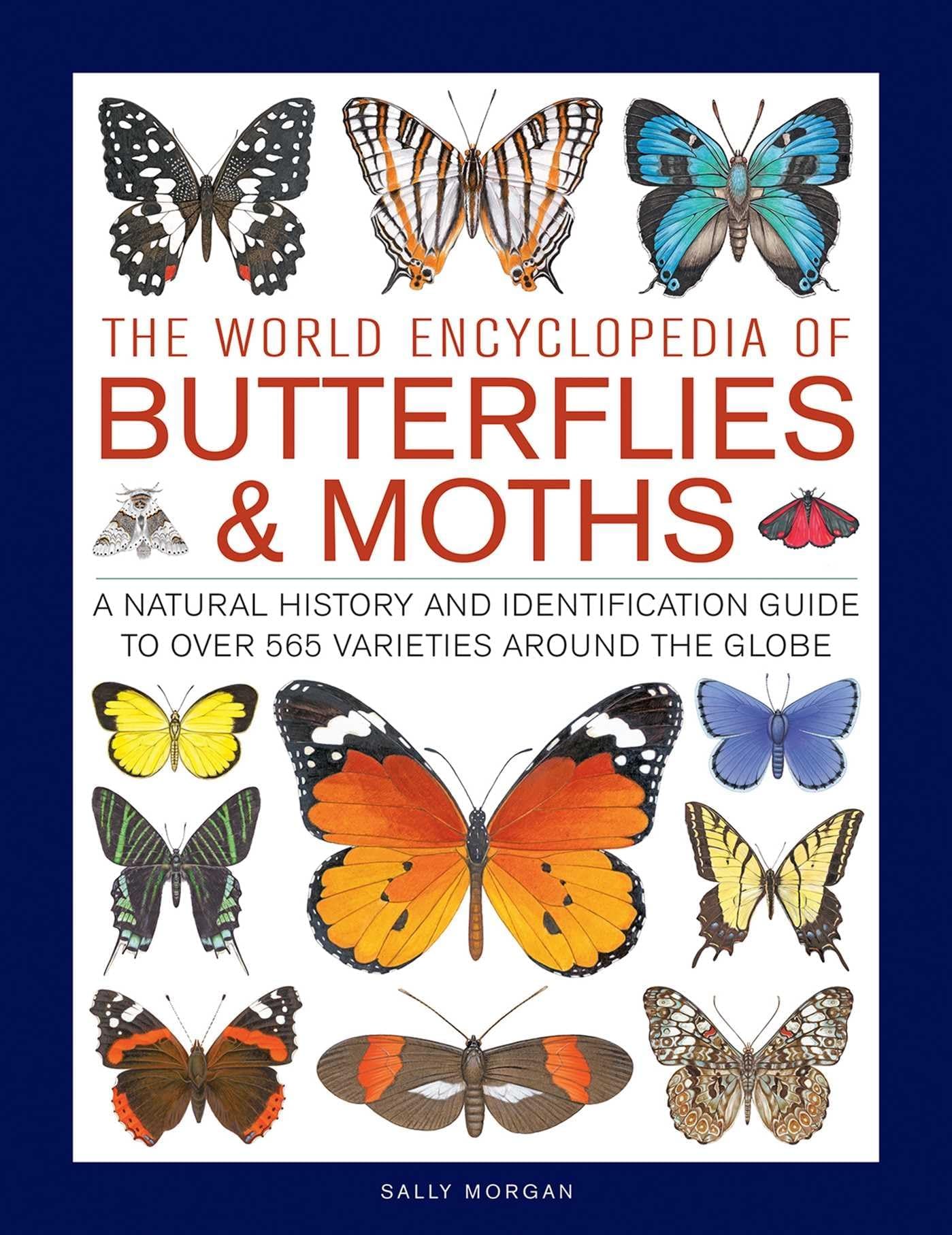 Lorenz Books Butterflies & Moths, The World Encyclopedia of: A natural history and identification guide to over 565 varieties around the globe