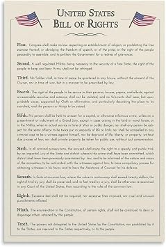 CZOURPVU The U.S. Constitution The Bill of Rights Poster US History Government Classroom School Decoration12x18inch30x45cm
