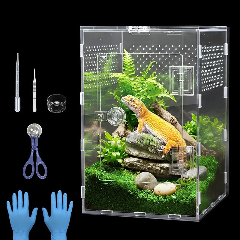 Terrário transparente de acrílico para aranhas saltadoras Oubou com portas duplas PX02