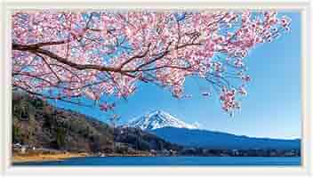 桜と富士山 DISPLATE メタリック ポスター ( #2130 )