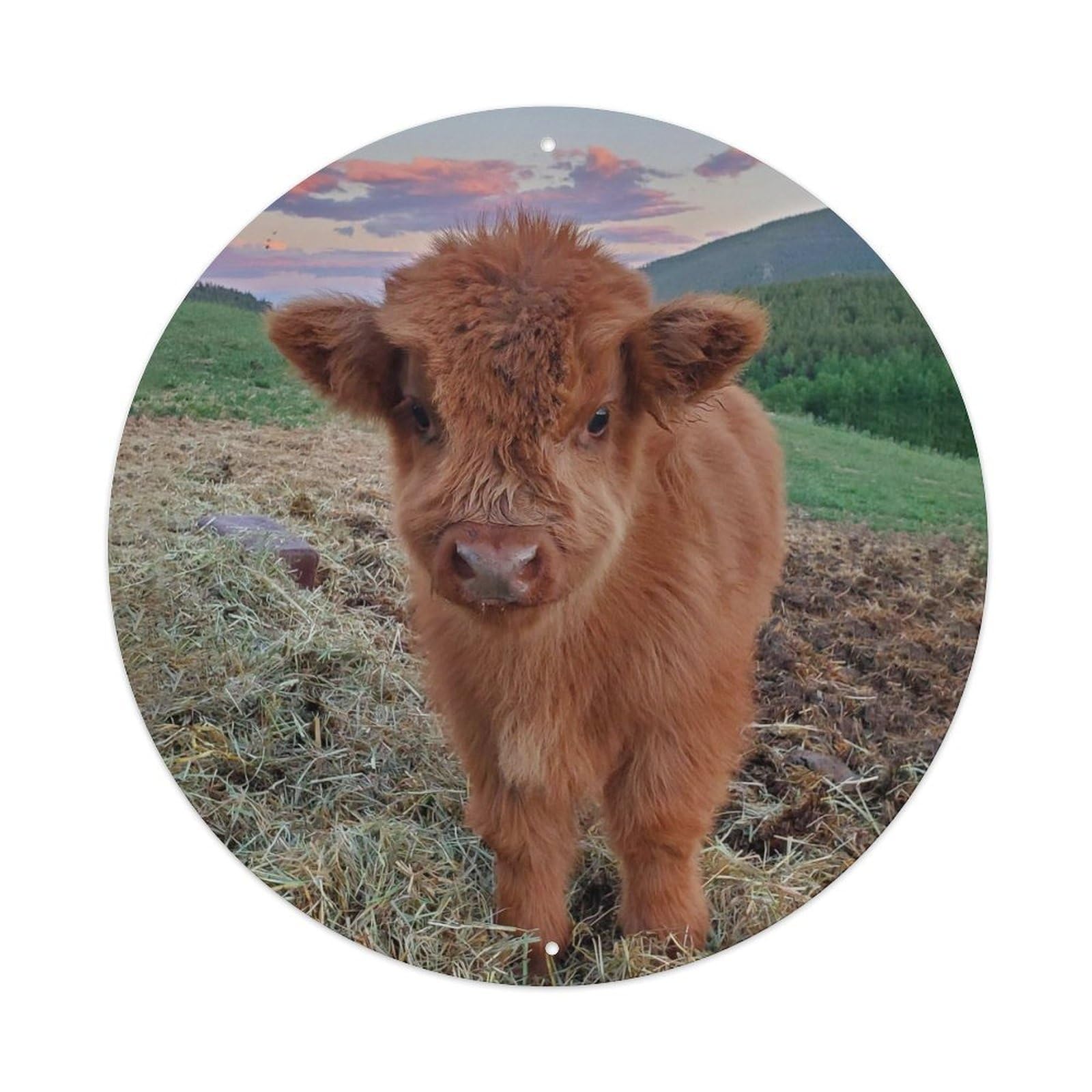 Highland Cow Calf Meadow Farmhouse Wildlife Metal Tin Sign