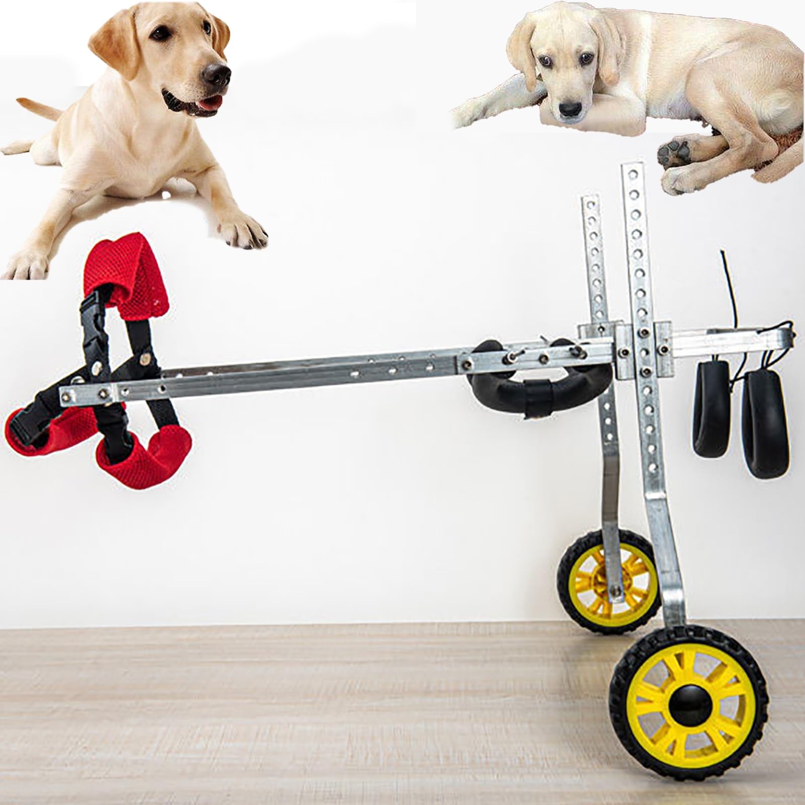Fauteuil roulant pour chien handicapé arrière | Chariot réglable en métal
