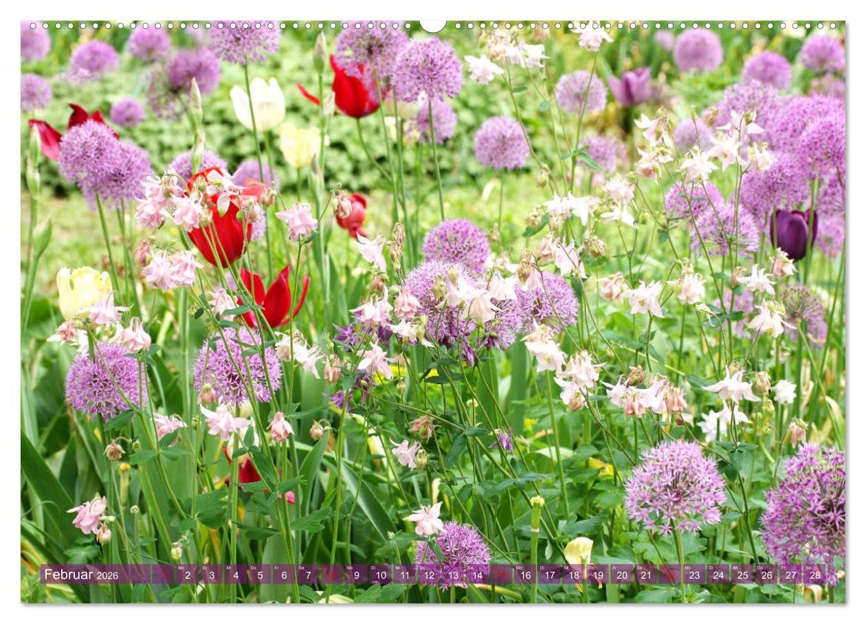 Beschwingte Blumenwelt (Wandkalender 2026 DIN A2 quer), CALVENDO Monatskalender: Ein Blütentanz quer durch den Sommer (CALVENDO Natur)