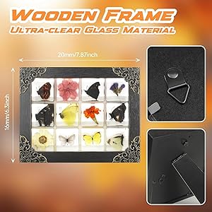 12 Pcs Insect in Resin Specimen Bugs Collection Paperweights, Resin Insects Specimen Frame Decoration for Tabletop Wall Art Decoration Scientific Educational Display Supplies (12 PCS Butterflies)