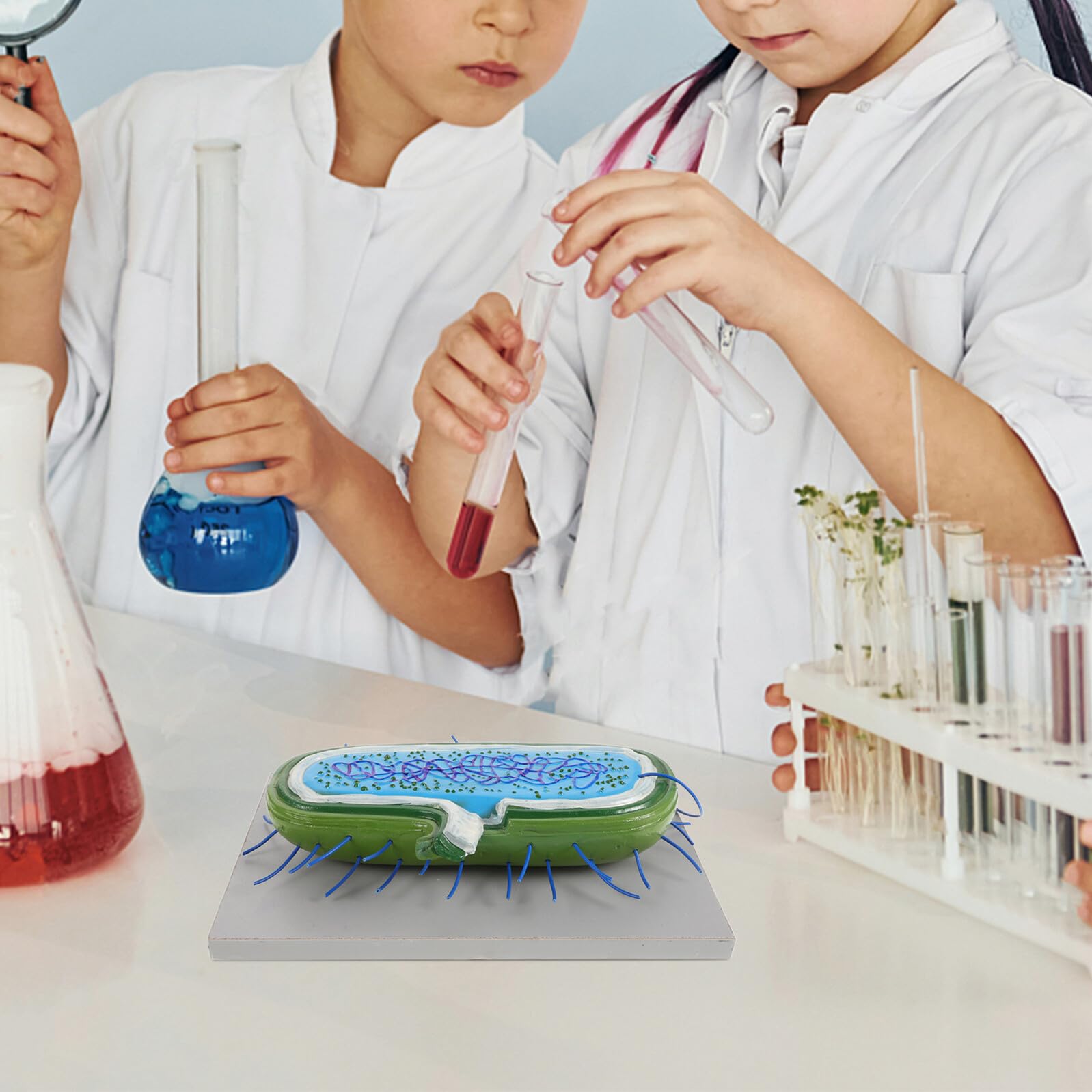 VICASKY Microbiologico Educativo in Pvc Struttura Realistica per Insegnamento Biologia e Laboratorio Decorativo per Studenti e Ragazzo Ragazza