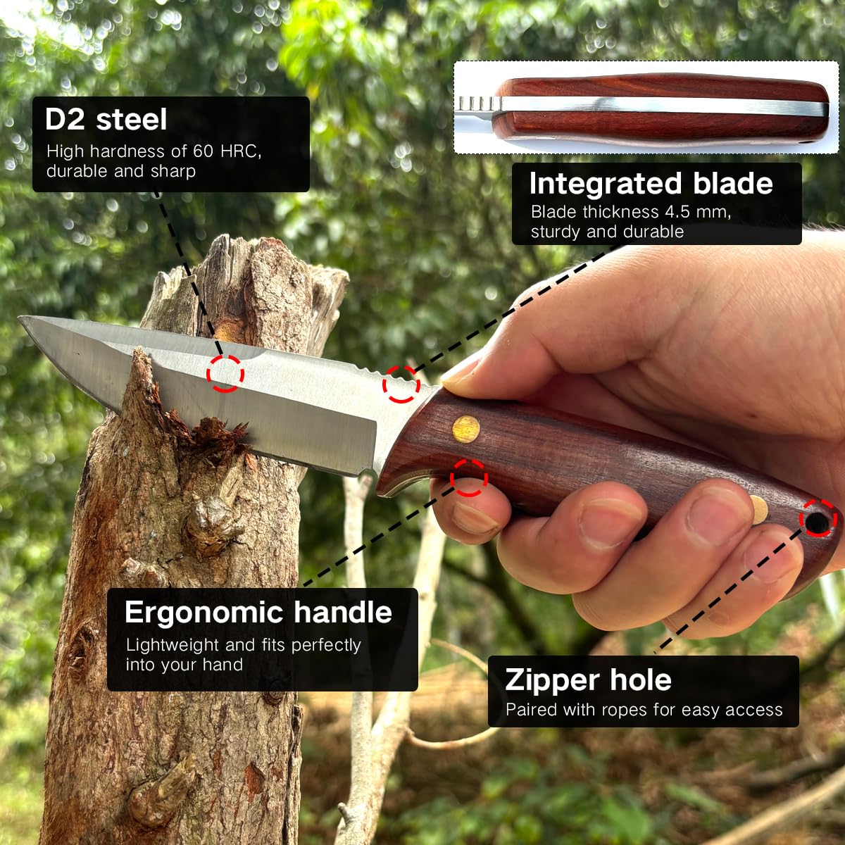 D2 Coltello da sopravvivenza affilato con squisita custodia in pelle, lama fissa, coltello di sopravvivenza ergonomico, manico in palissandro per campeggio all'aperto (Brown 01)