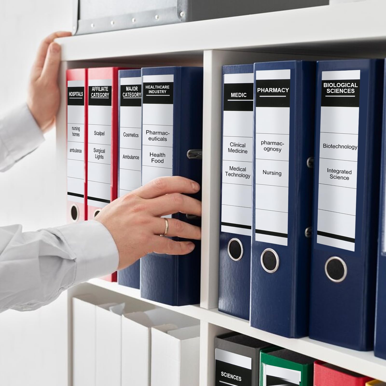 Etichette Dorsali Esselte Per Raccoltori 75 Mm - 100 Pezzi, Cartone Stampabile, 50x158 Mm, Bianco