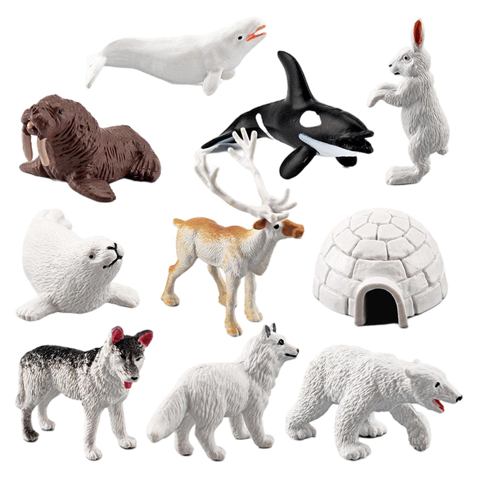 10X Lifelike Arctic Animal Model Miniature Statues Home Desktop Decor|Animal Figurines for Kids|Realistic Animal Toys|Educational Animal Figures|Wildlife Model Set|Animal Toys Set-image-48