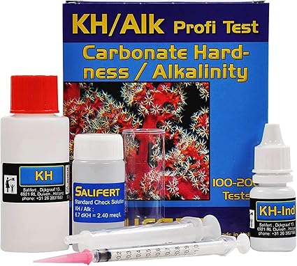 clumber poo puppies for sale