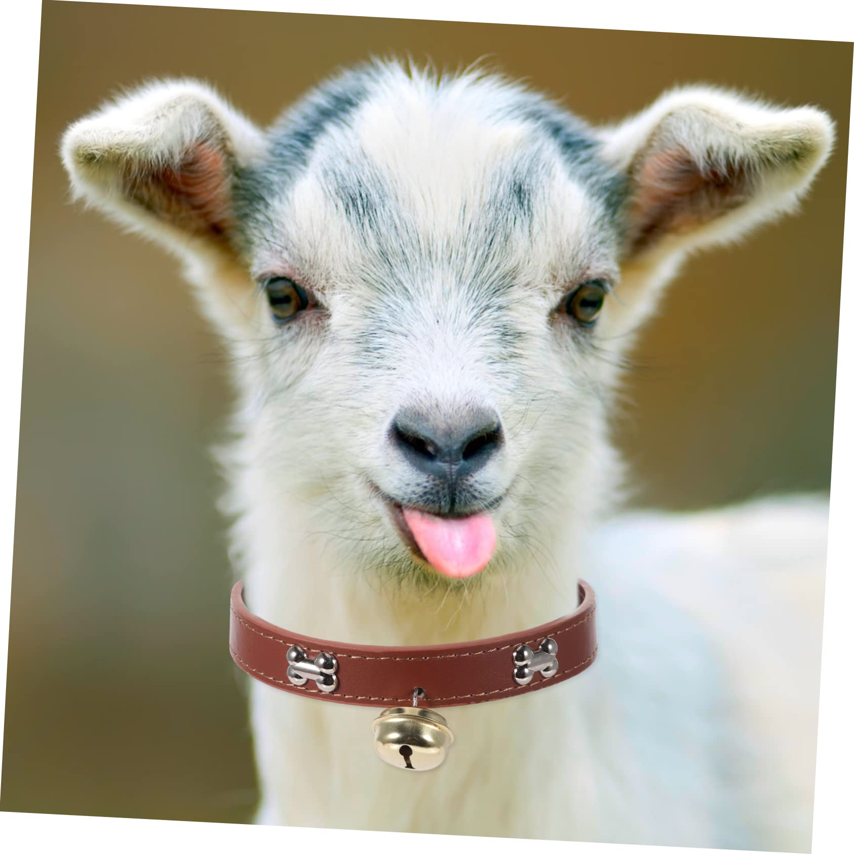 4pièces Collier Réglable pour Animaux avec Cloche Lot de Colliers Colorés pour Moutons Chèvres Et Veaux Accessoires De Bétail Adorables Et Pratiques